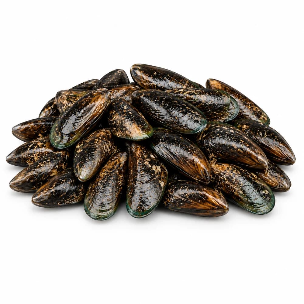 Fresh Black Mussels 1kg
