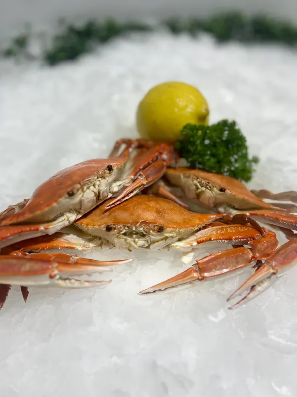 Three Spot Crab Cooked