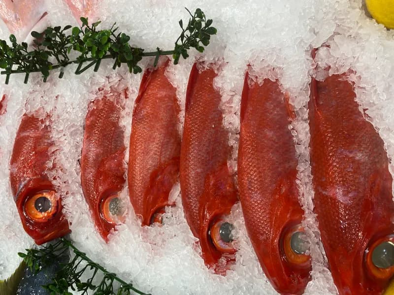 Alfonsino Whole