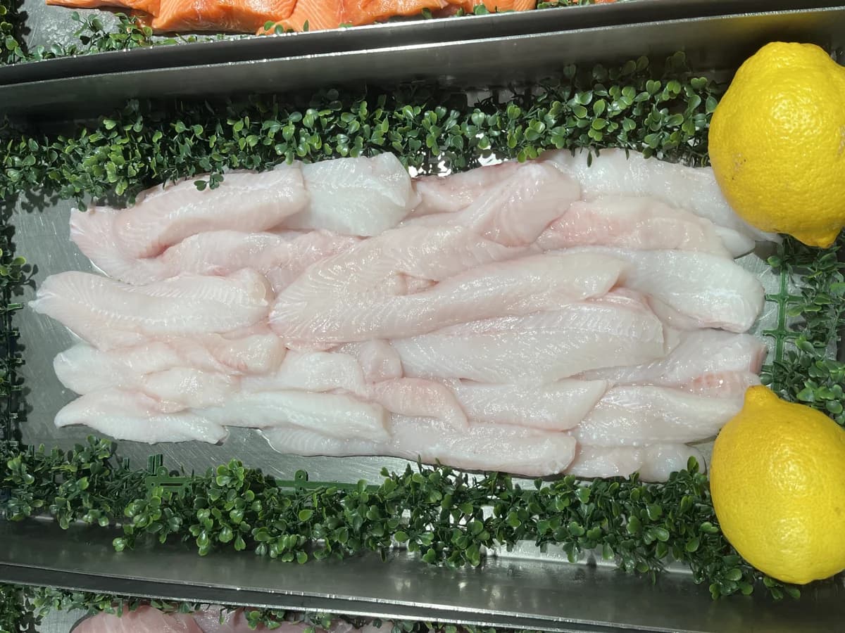 Barra Fillet