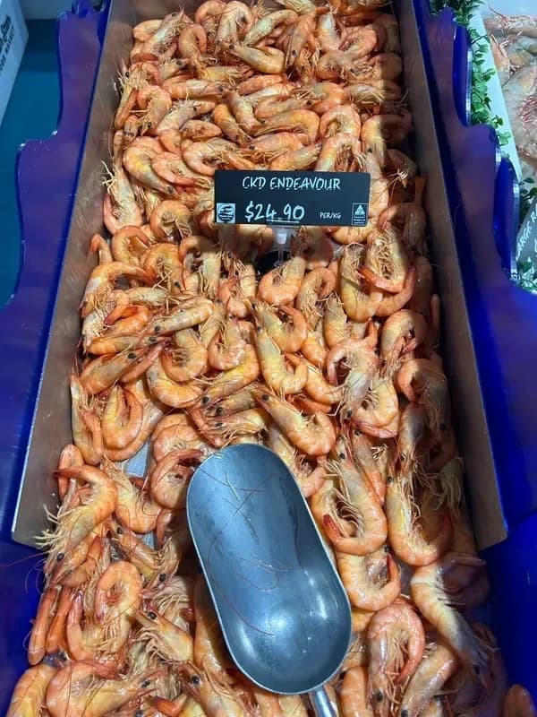 Cooked Endeavour Prawns 2