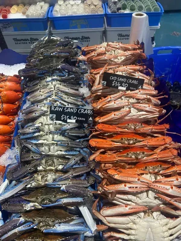 Cooked and Raw Sand Crabs