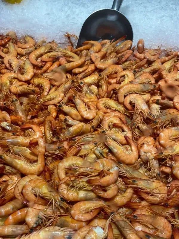 Cooked Endeavour Prawns