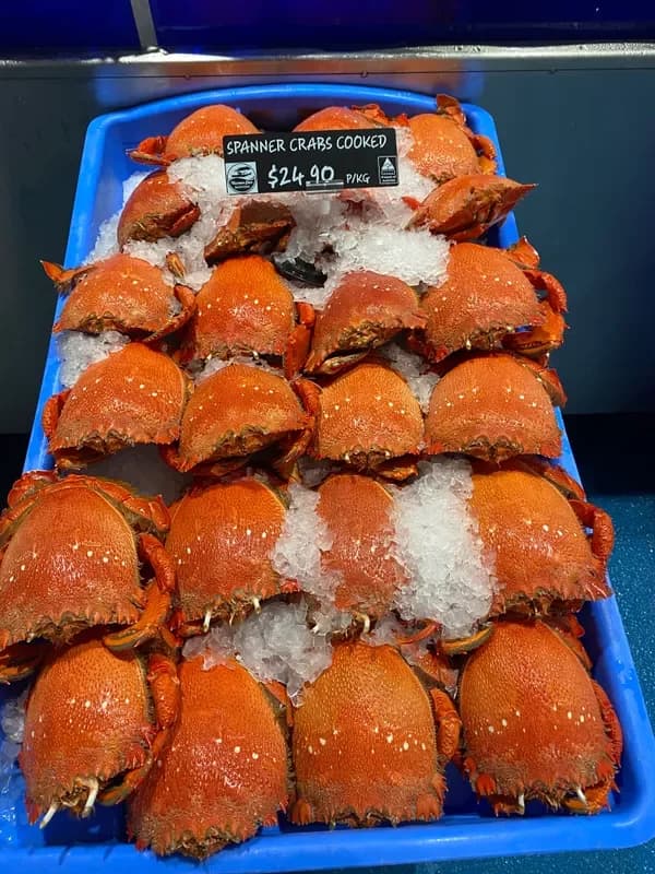 Cooked Local Spanner Crabs