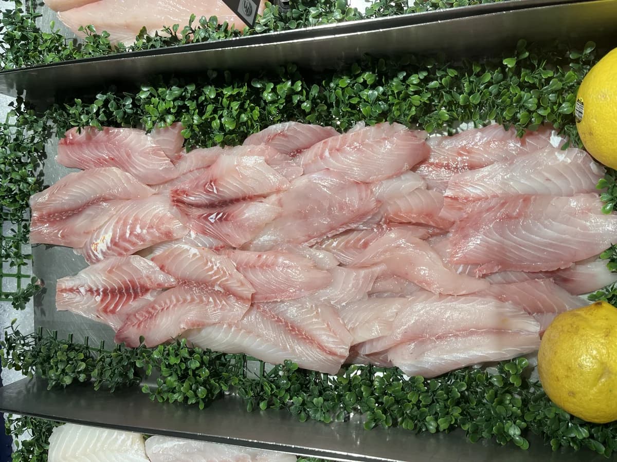 Flathead Fillet