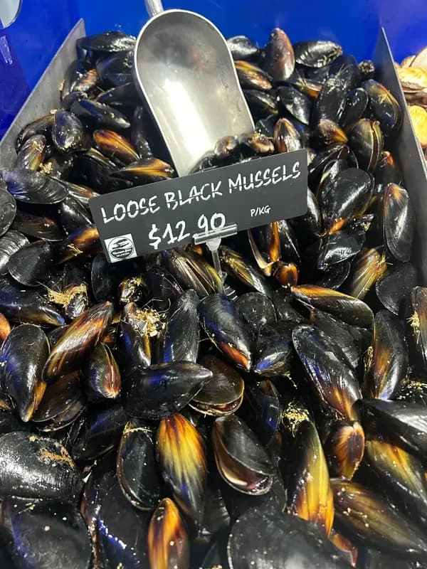 Fresh Black Mussels