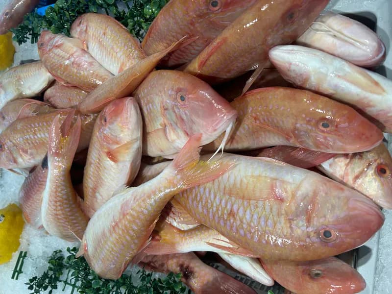 Goat Fish Whole