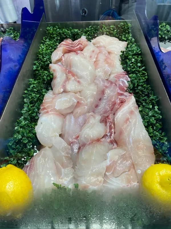Hapuku Fillet