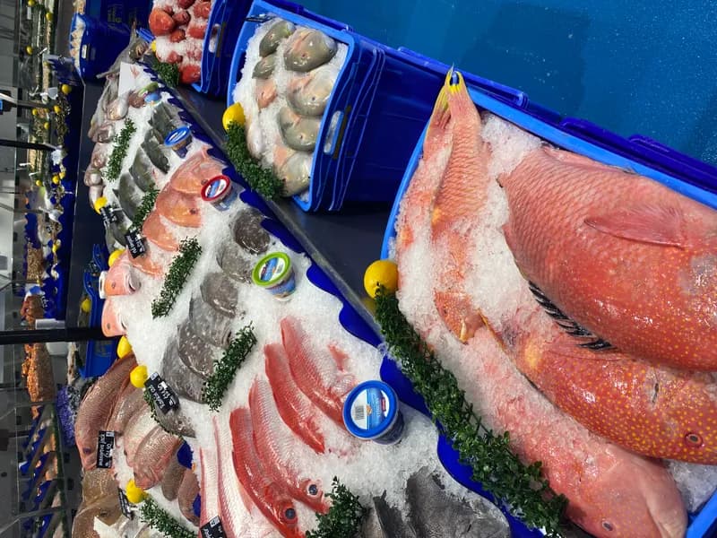 Gold Band Snapper Fillet