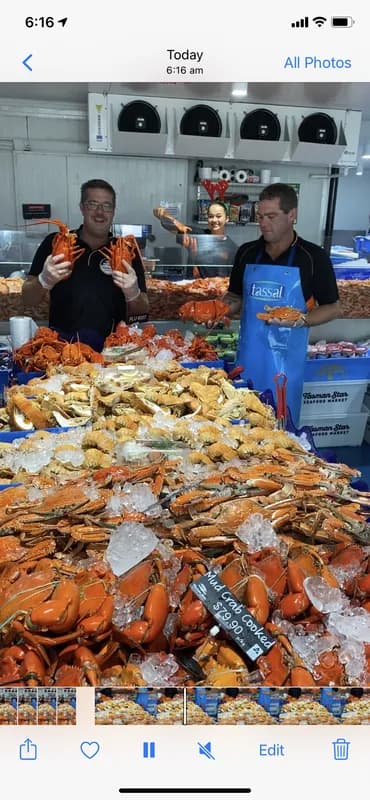 Live Local Lobsters