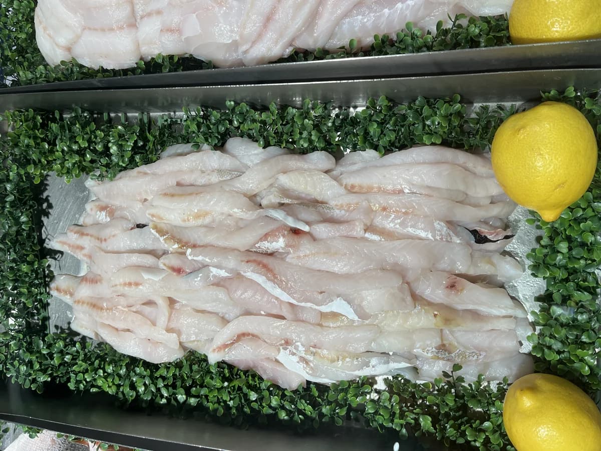 Jewfish Fillet