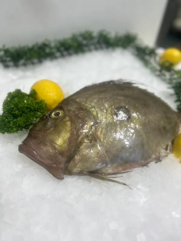 John Dory Whole 