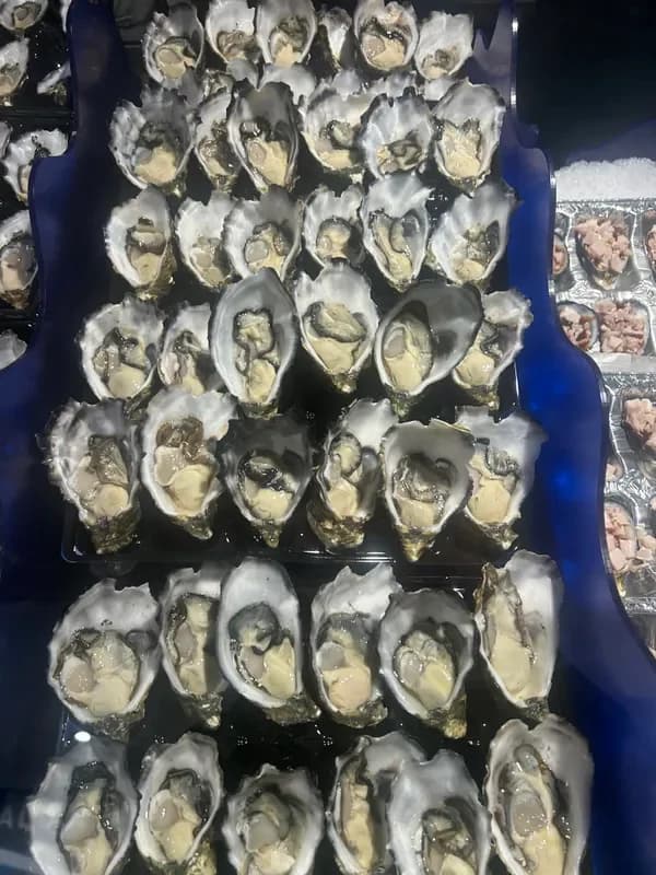 Jumbo Pacific Oyster