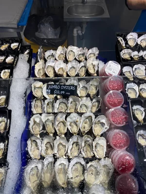 Jumbo Pacific Oyster