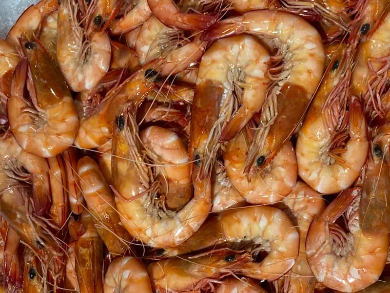 Large Cooked King Prawns 3
