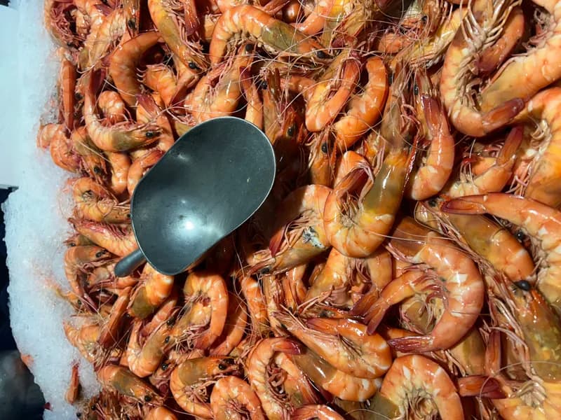 Large Cooked King Prawns 4