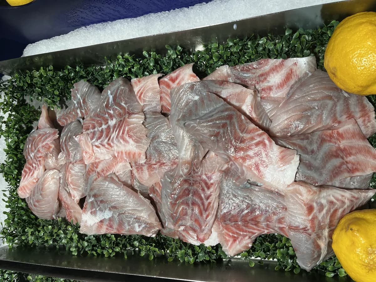 Knobby Snapper Fillet