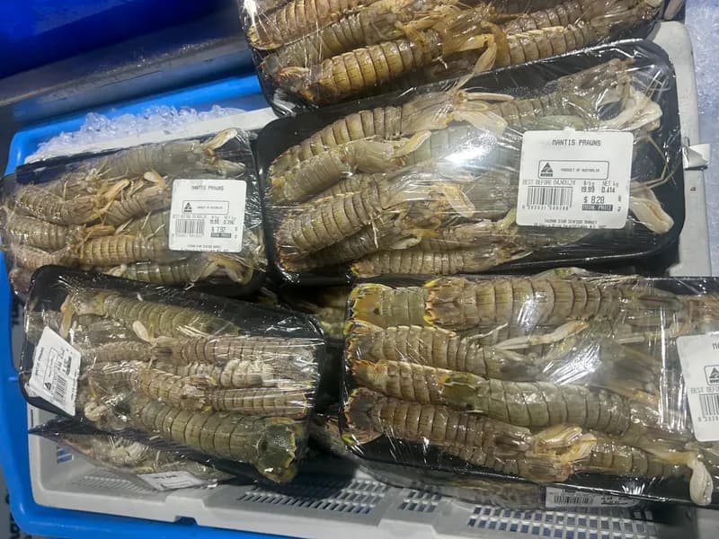 Mantis Prawns