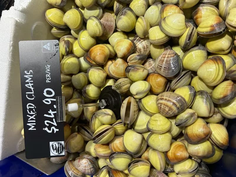 Mixed Clams