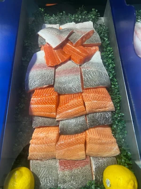 Ocean Trout Fillets