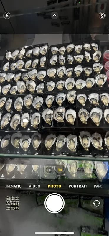 Pacific Plate Oyster