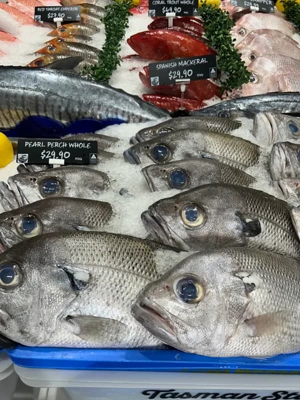 Pearl Perch Whole