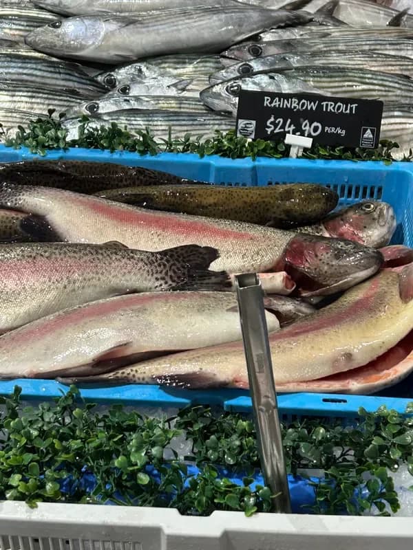 Rainbow Trout Whole