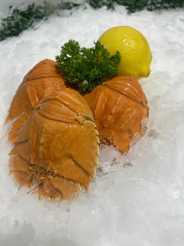 Raw Sand Crabs  2