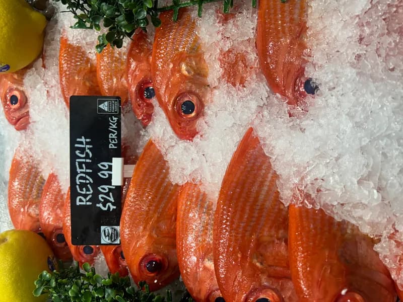 Red Fish Whole 2