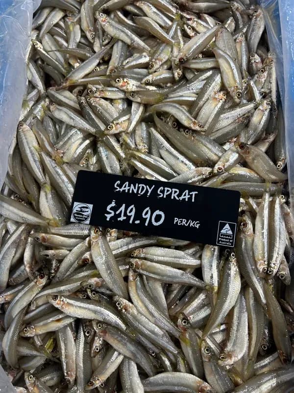 Sandy Sprat