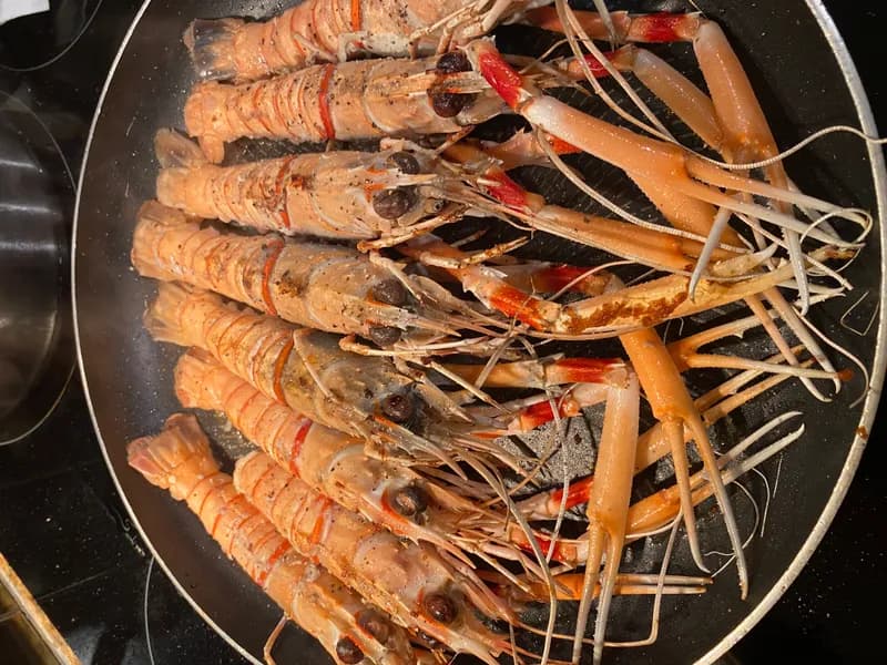 Scampi