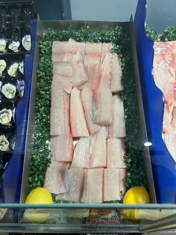 Spanish Mackerel Fillet