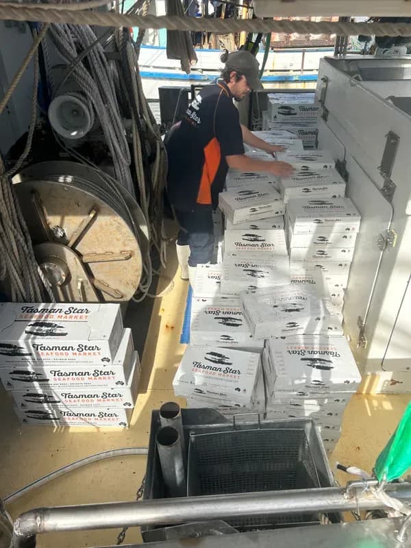 Fresh catch being unloaded from Tasman Star vessel