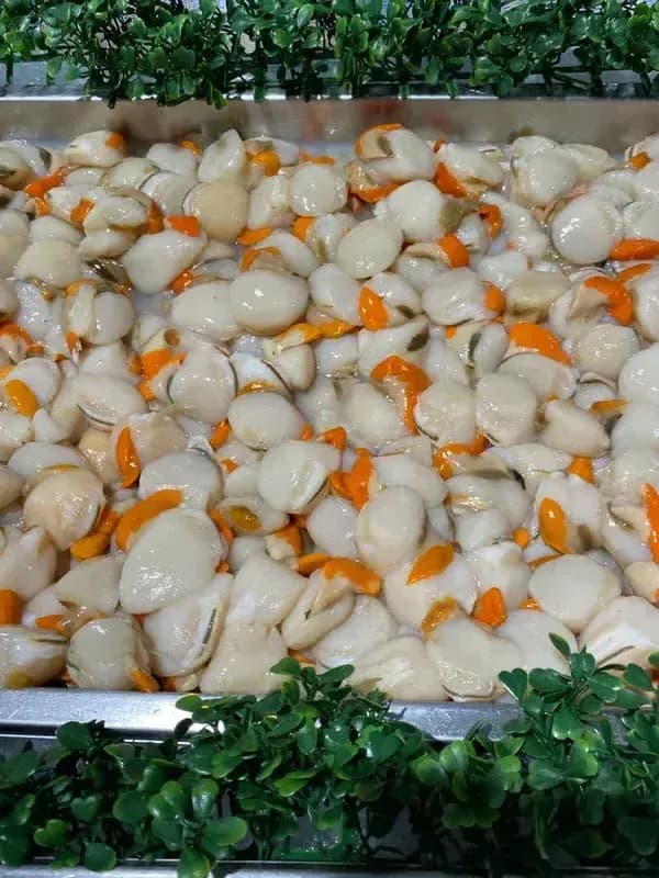 Tasmanian Scallop Meat