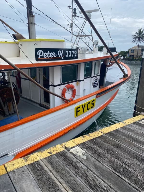 Tasman Star trawlers at dock — the Peter K and our Queensland fleet