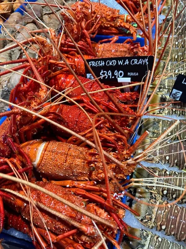 WA Crayfish Cooked