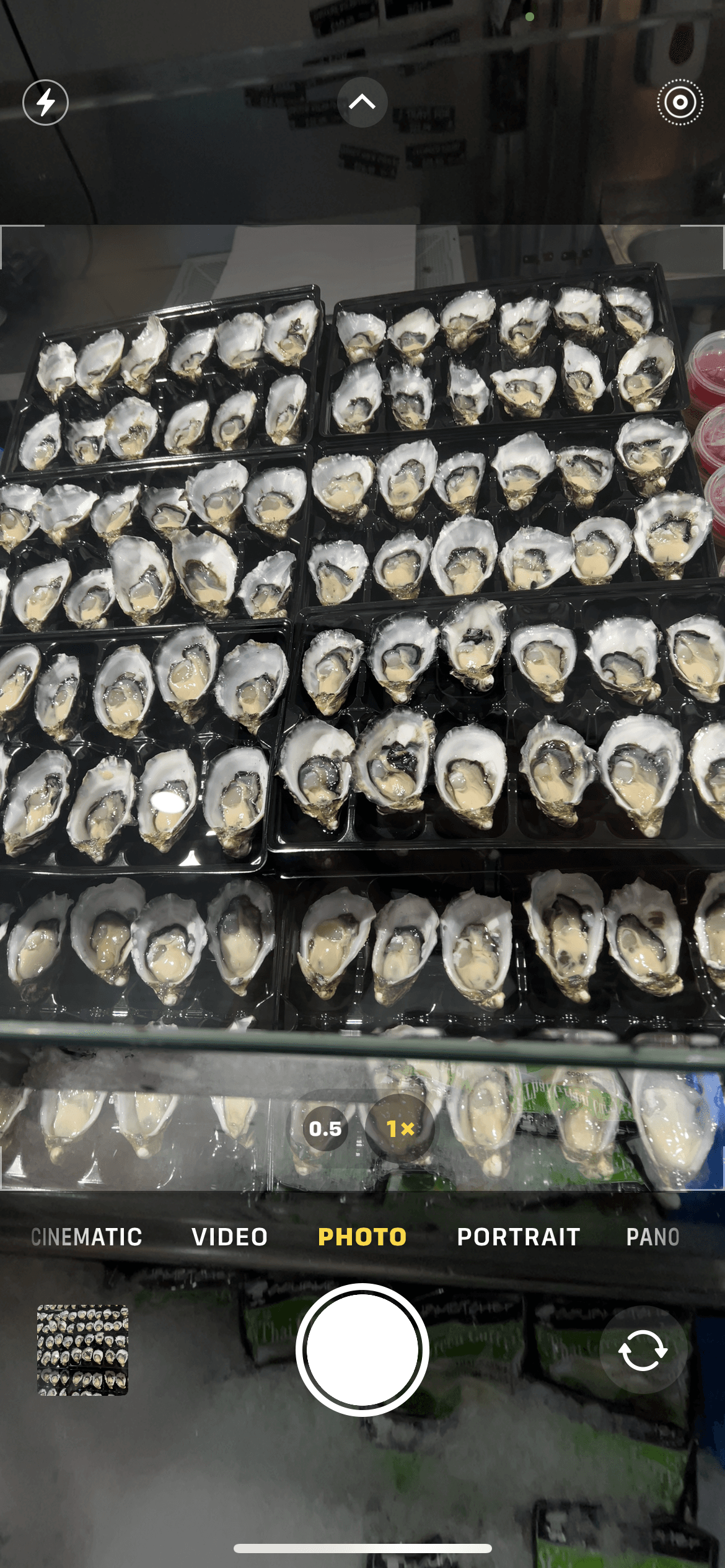 Sydney Rock Plate Oysters