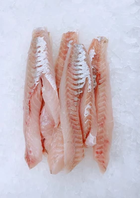 NZ Fresh Gurnard Fillets 