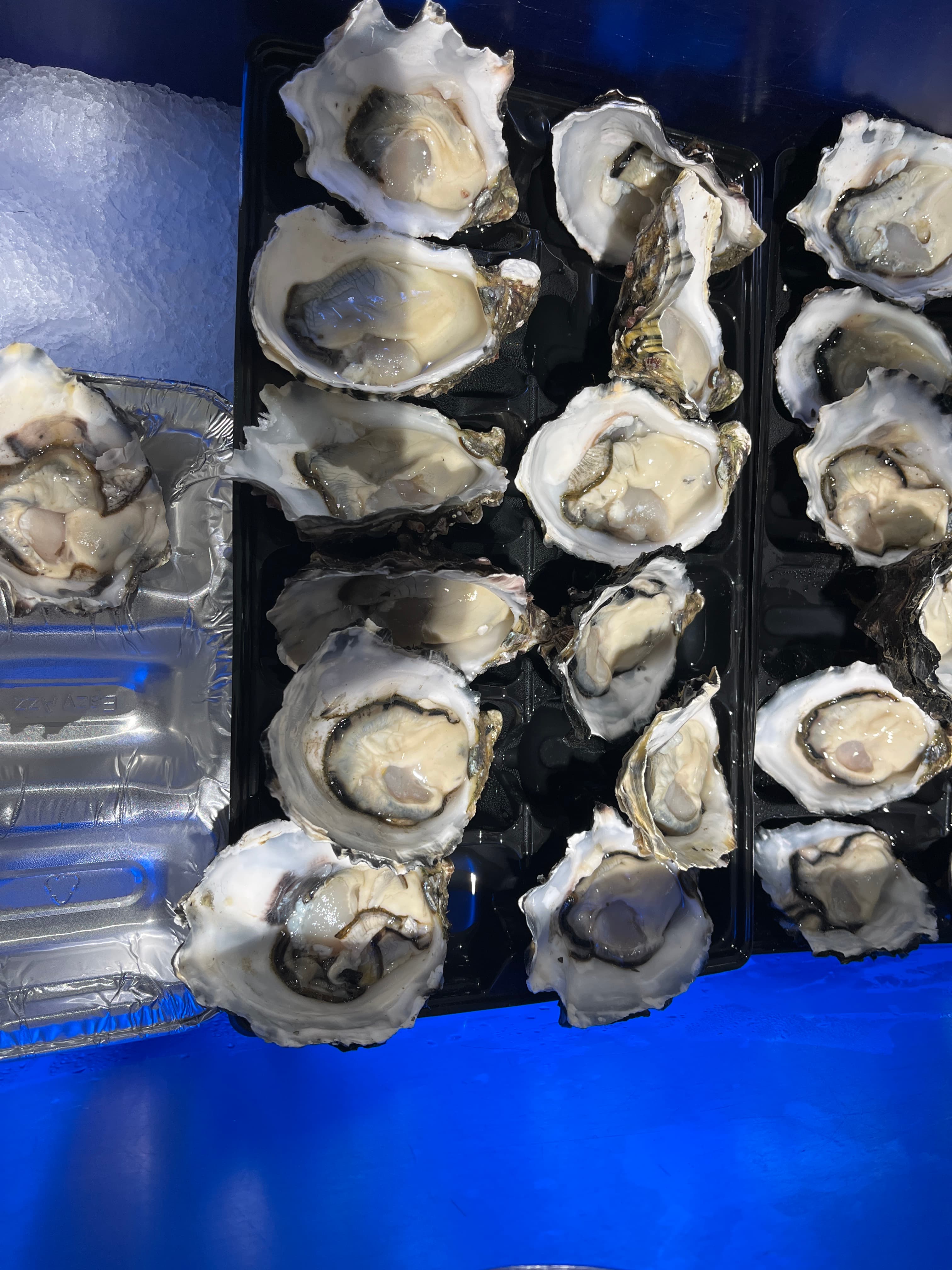 Jumbo Pacific Oyster, fresh Oysters from Tasman Star Seafood, Gold Coast