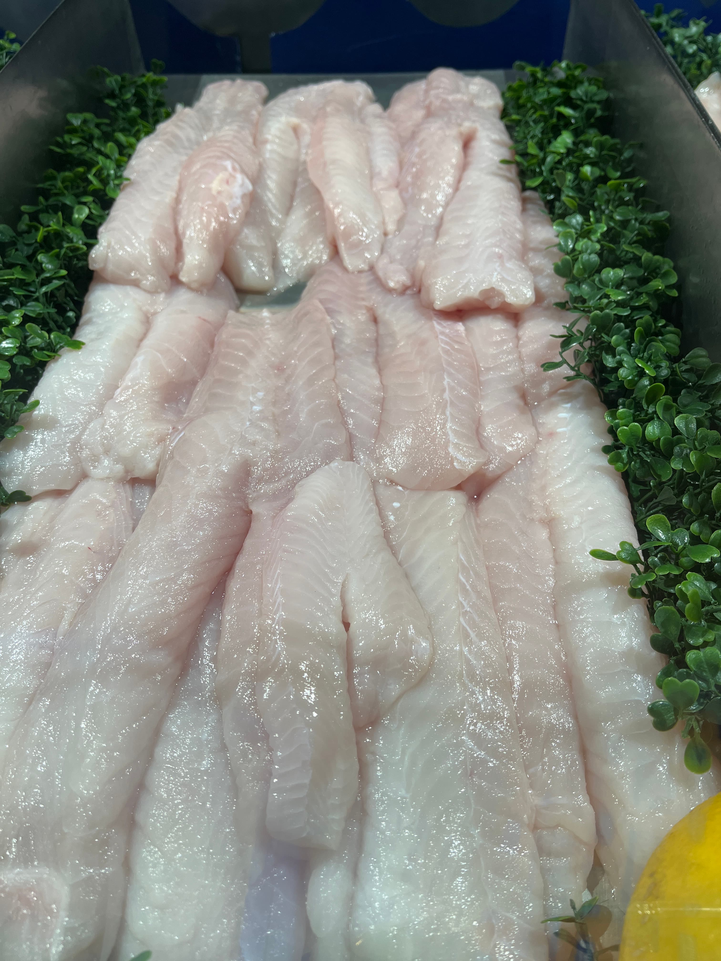 Monkfish Portion 300g — fresh Fish (Fillets & Steaks) from Tasman Star Seafood, Gold Coast