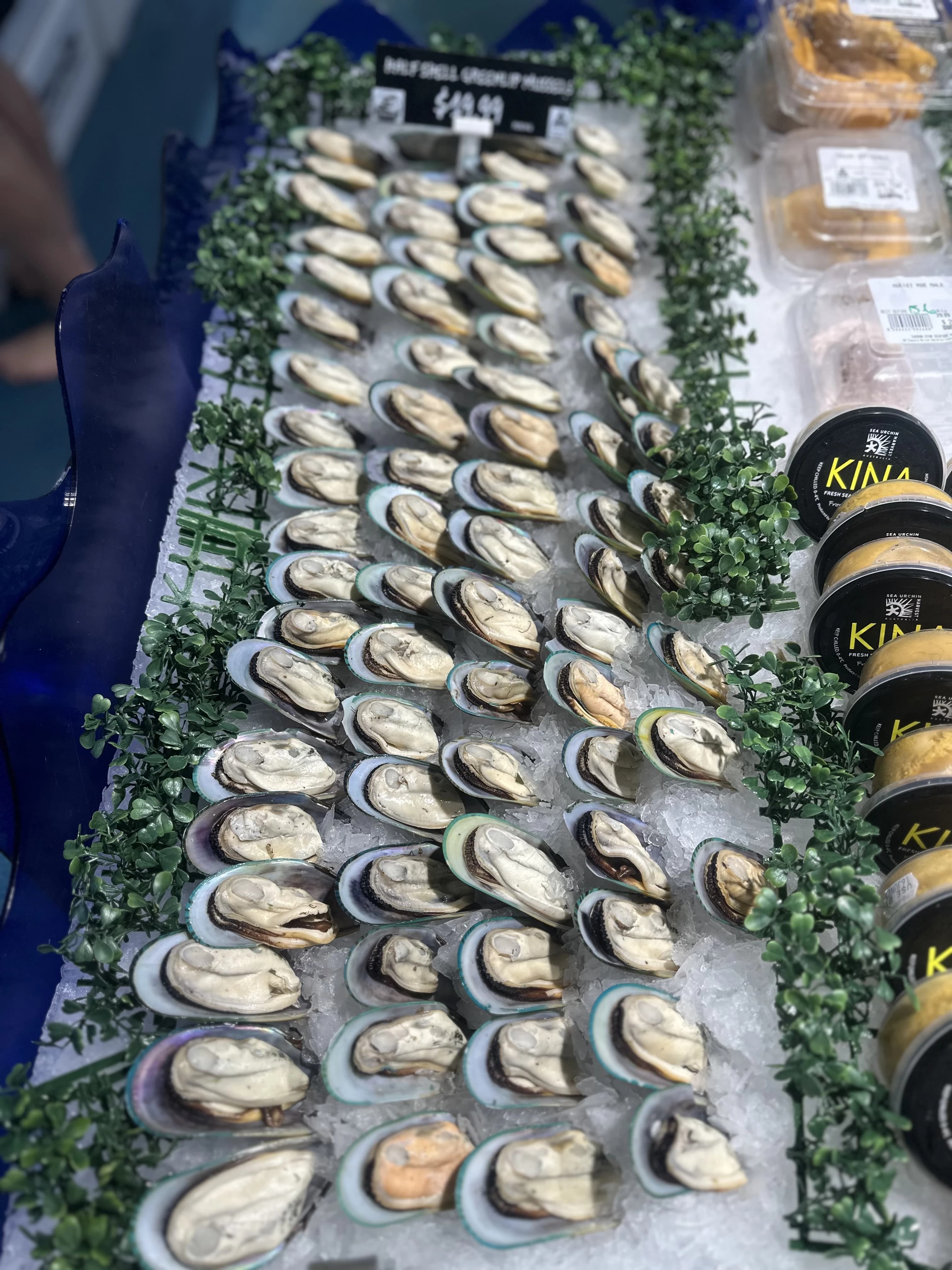 Greenlip Mussels Half Shell