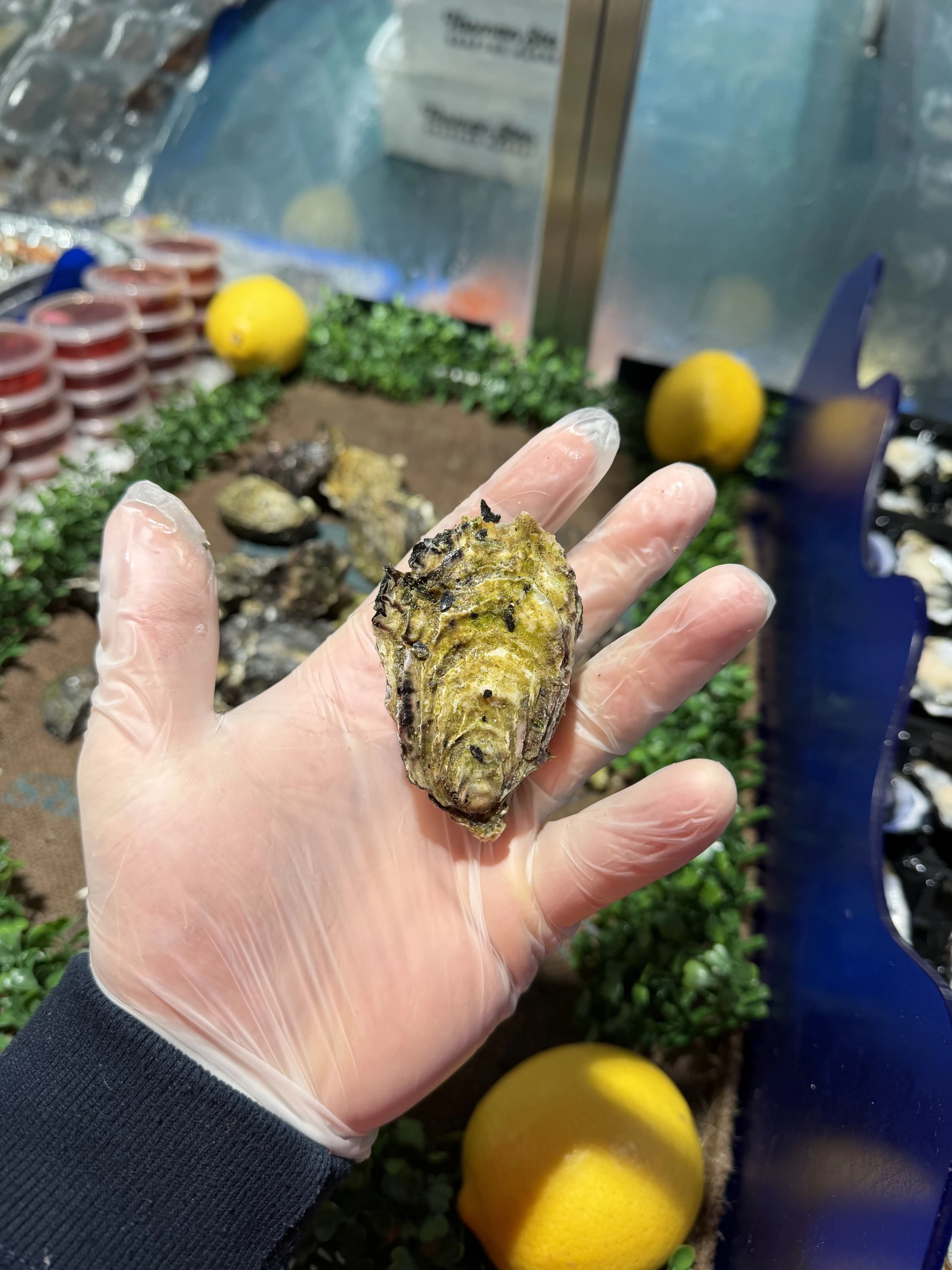 Live Unshucked Oysters