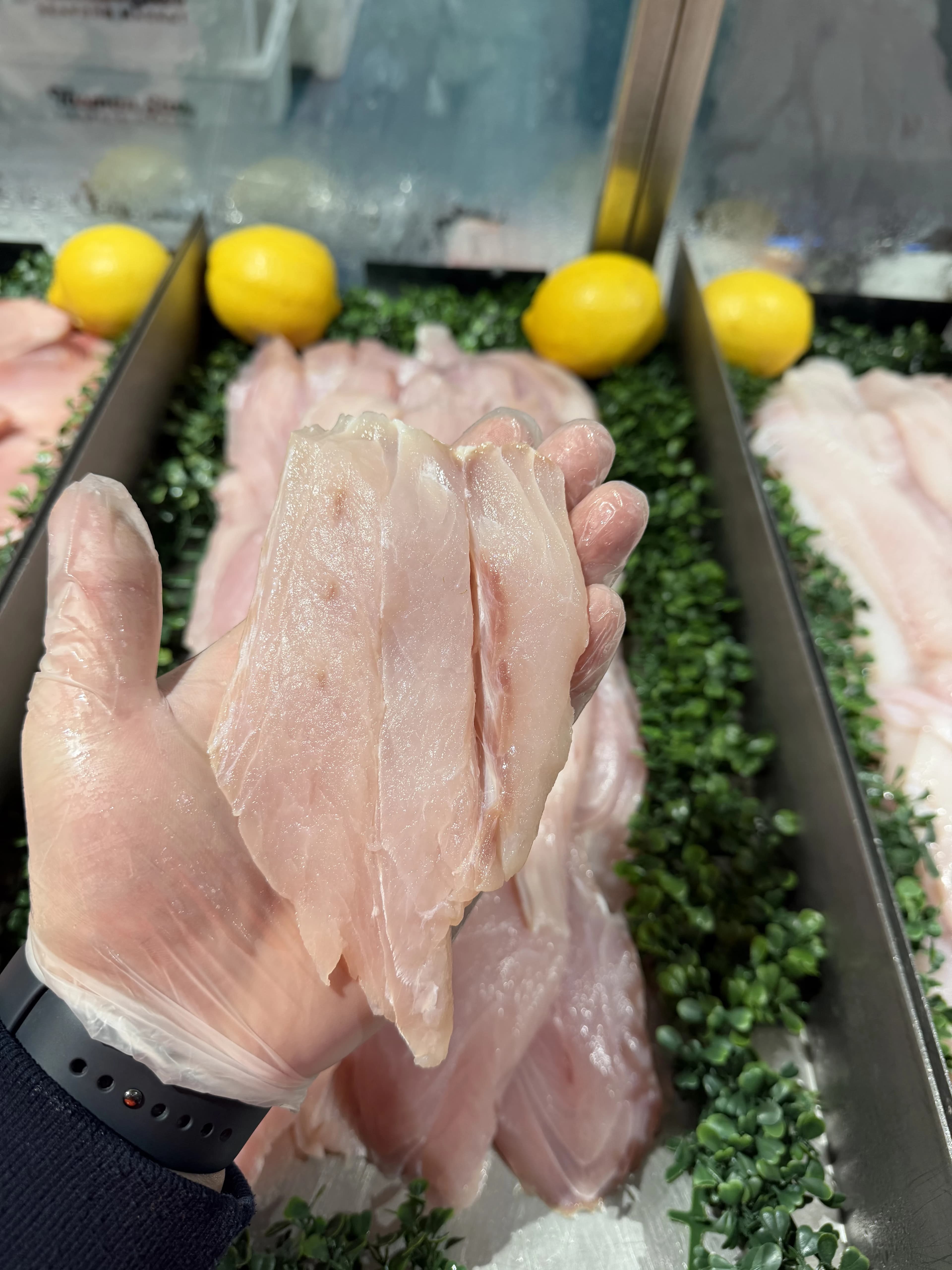 Jewfish Fillet