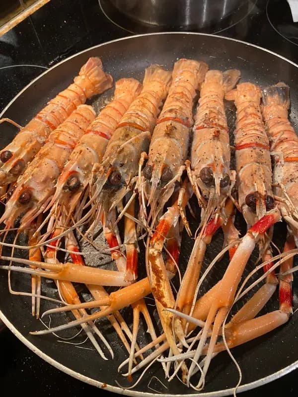 Scampi