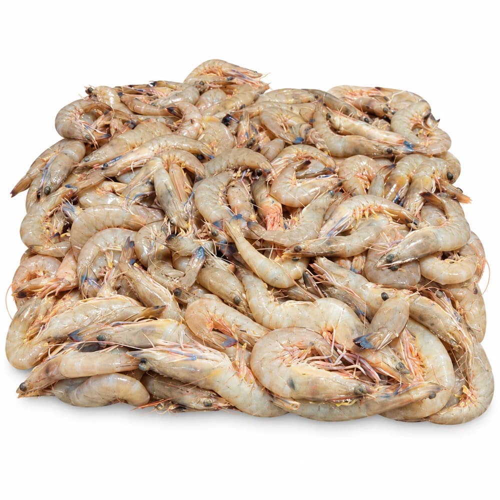 Medium Raw King Prawn