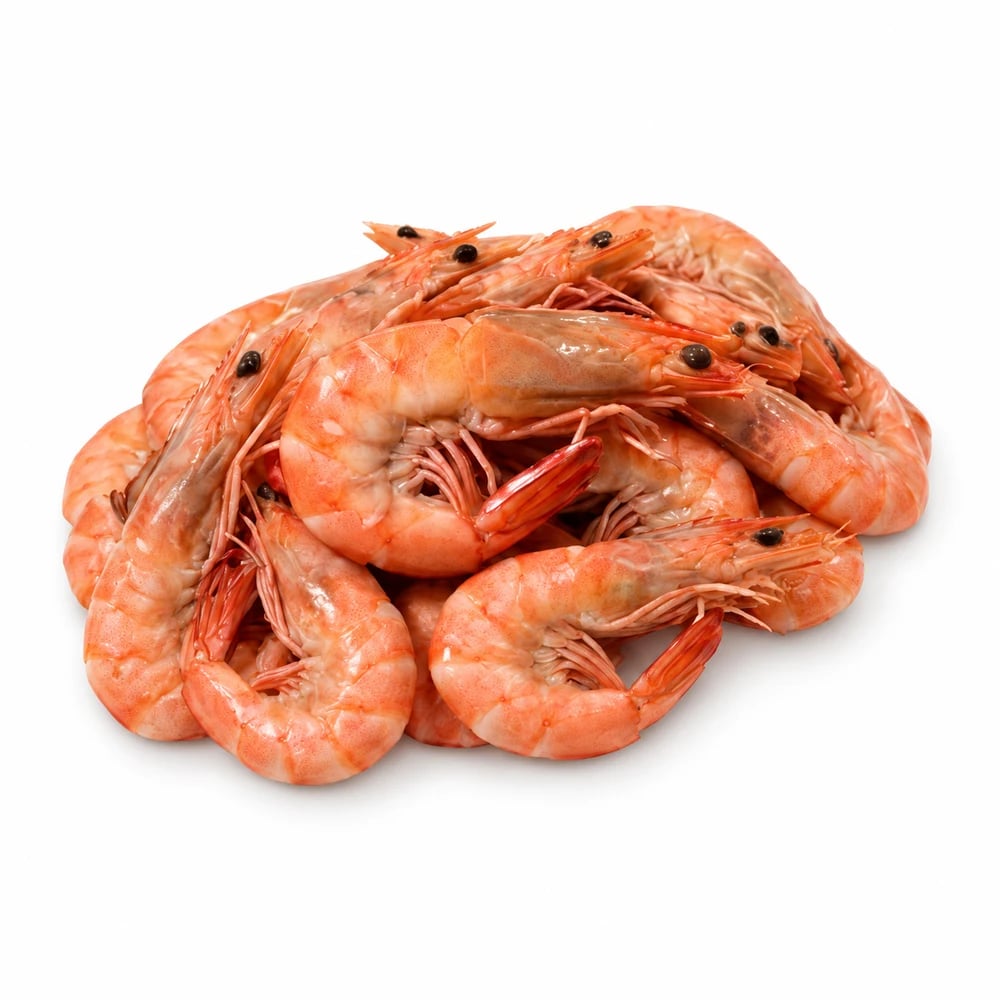Medium Cooked King Prawn, fresh Prawns (Cooked) from Tasman Star Seafood, Gold Coast