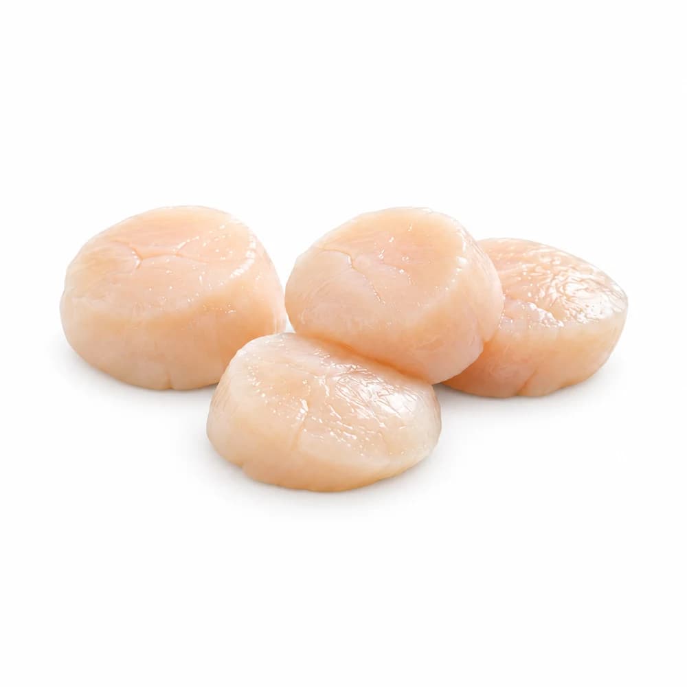Sashimi Scallops from Hokkaido, fresh Sashimi from Tasman Star Seafood, Gold Coast