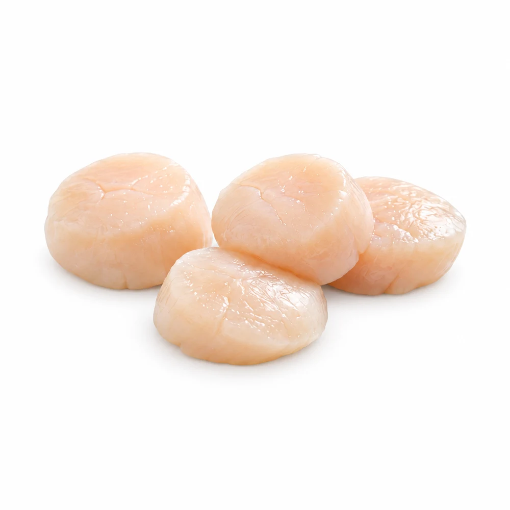 Sashimi Scallops from Hokkaido, fresh Sashimi from Tasman Star Seafood, Gold Coast