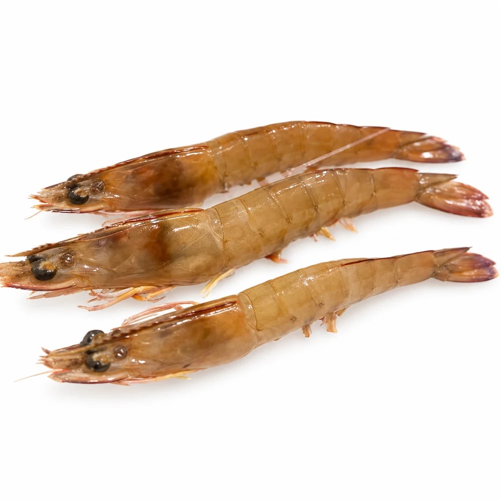 XL Raw King Prawn 1KG FRESH, fresh Prawns (Raw) from Tasman Star Seafood, Gold Coast