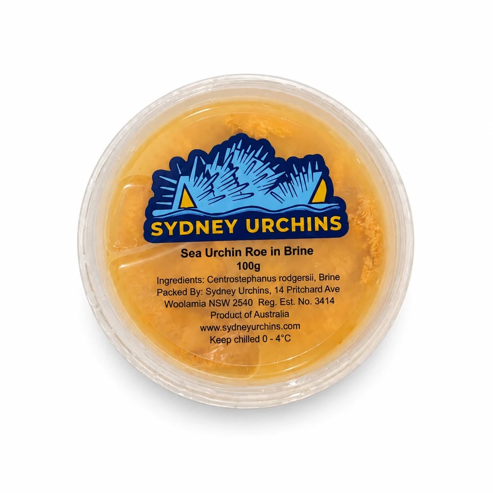 Kina (Sea Urchin), fresh Shellfish & Molluscs from Tasman Star Seafood, Gold Coast